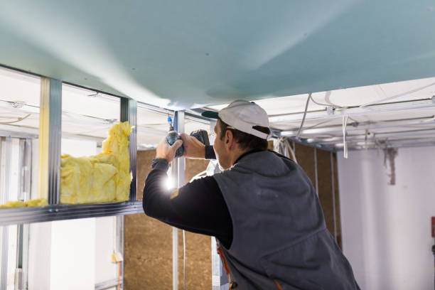 Best Fiberglass Insulation in Dunnigan, CA