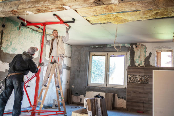 Best Geographic-Specific Insulation Services in Dunnigan, CA