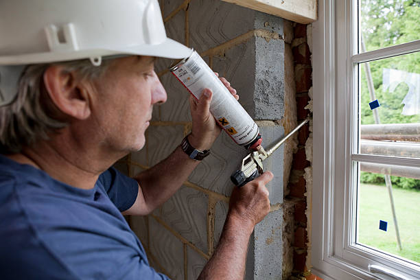 Best Cellulose Insulation in Dunnigan, CA