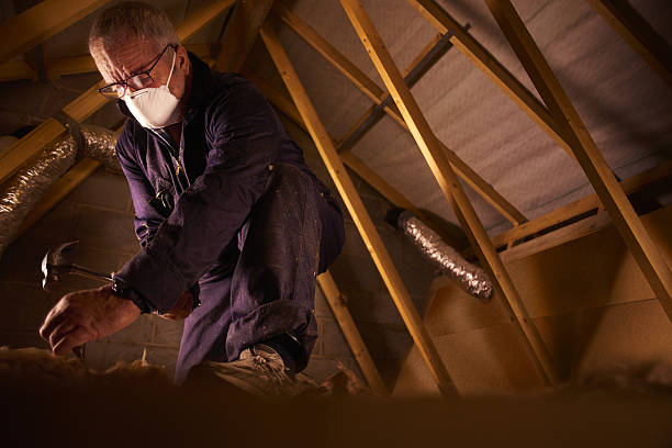 Best Eco-Friendly Insulation in Dunnigan, CA