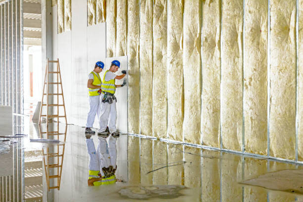 Best Insulation for Specific Applications in Dunnigan, CA